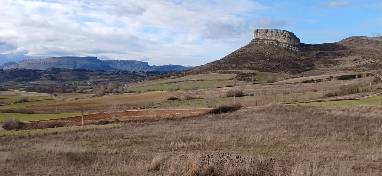 WhatsApp Image 2026-02-10 at 11.24.08